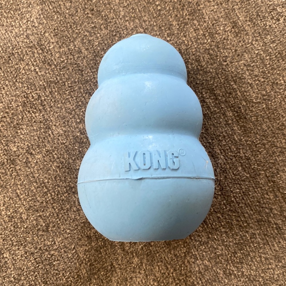 Blue Kong dog toy